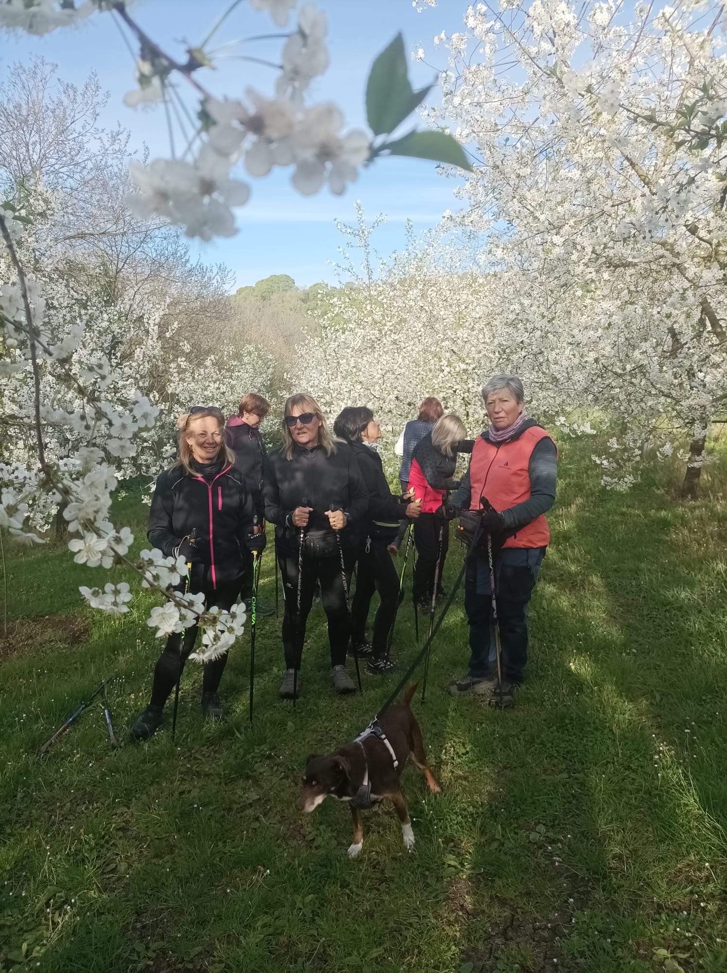 Programma ANDOS 08-10 aprile 2026