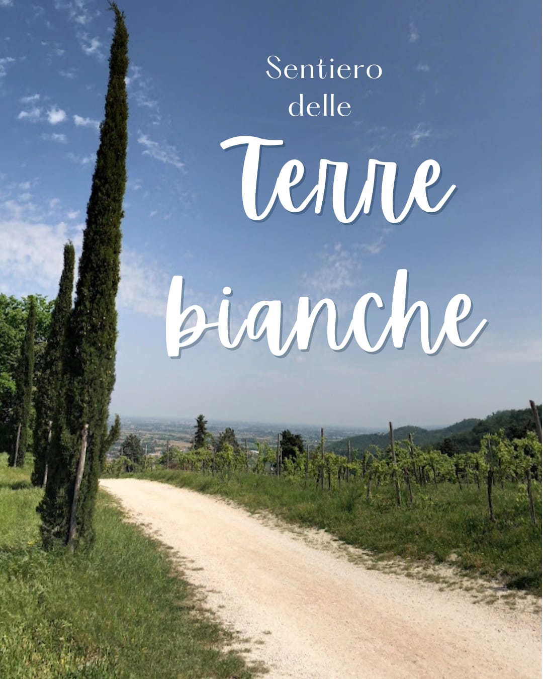 Domenica 21 giugno 2026     –                                                                             “La Terra delle Marasche”